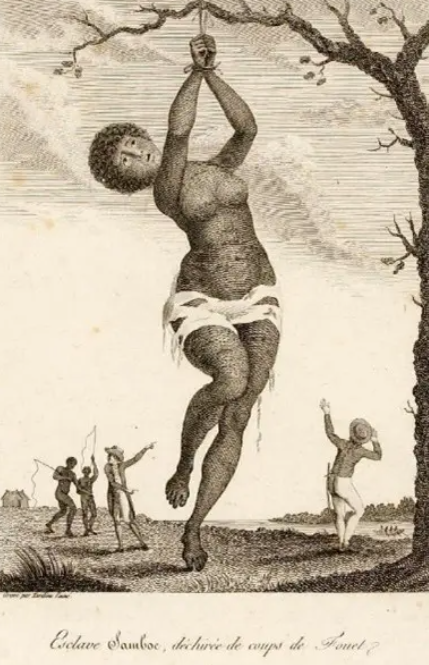 Prent uit J.G. Stedman, Narrative of a five years’ expedition against the revolted Negroes of Surinam, 1796. © Tropenmuseum